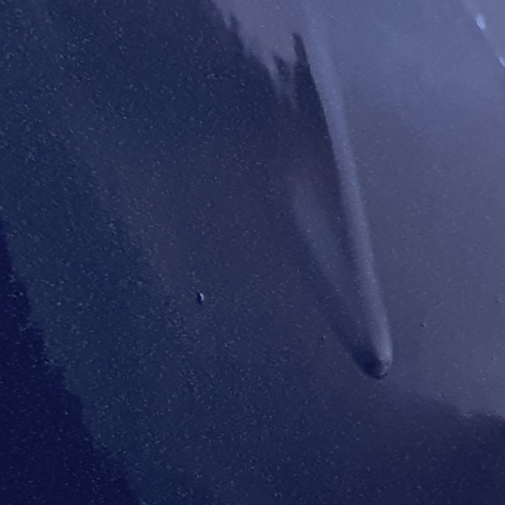 Läufer und Staubeinschluss Läufer und Staubeinschluss